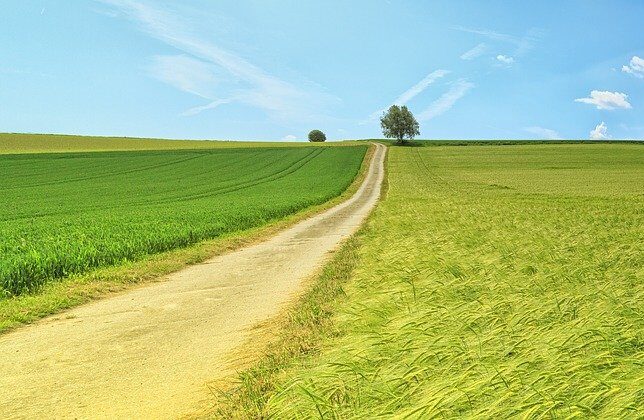 l&eacute;to panorama