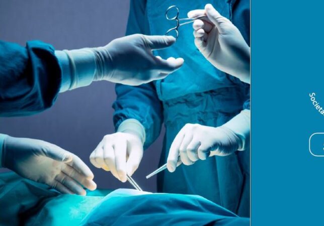 NChK 2026 banner na web final